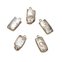 Cultured Freshwater Pearl Brass Pendant, with Brass, gold color plated, 12*24*4mm-11*22*6mm Approx 1.8mm 