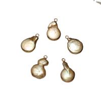 Cultured Freshwater Pearl Brass Pendant, with Brass, gold color plated, 15*24*6mm-13*18*4mm Approx 1.8mm 