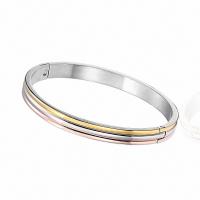 Stainless Steel Bangle, plated, fashion jewelry & for woman, 6mm, Inner Approx 63mm 