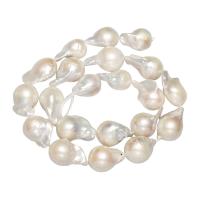 Perlas Cultivadas Nucleadas de Agua Dulce, Toroidal, natural, Blanco, 11-13mm, agujero:aproximado 0.8mm, Vendido por Sarta