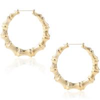 Zinc Alloy Hoop Earring, plated, fashion jewelry & for woman 