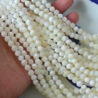 Muschel Perle, rund, verschiedene Größen vorhanden, weiß, Bohrung:ca. 1mm, verkauft von Strang