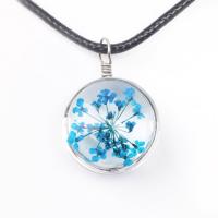 Glass Pendants, with Dried Flower & Zinc Alloy, DIY 30mm Approx 19.3 Inch 