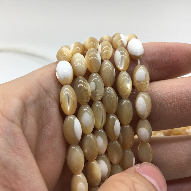 Muschel Perle, verschiedene Größen vorhanden, keine, Bohrung:ca. 1mm, verkauft von Strang