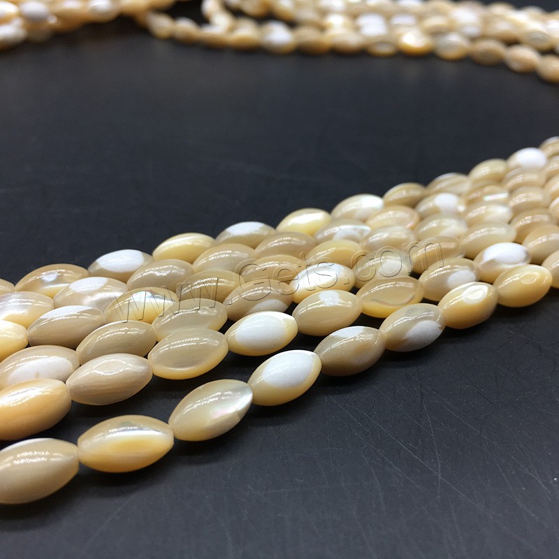 Shell Beads, different size for choice, more colors for choice, Hole:Approx 1mm, Sold By Strand