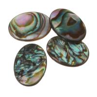 Perles coquillage d'ormeau, coquille d'ormeau, bijoux de mode & DIY Environ 0.5mm, Vendu par PC