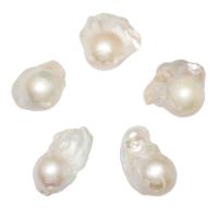 No Hole Cultured Freshwater Pearl Beads, natural, single-sided, white, 15-20mm 