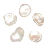 No Hole Cultured Freshwater Pearl Beads, natural, white, 13-16mm 