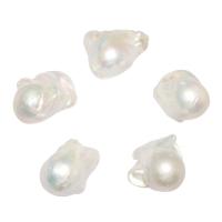 No Hole Cultured Freshwater Pearl Beads, natural, white, 18-20mm 