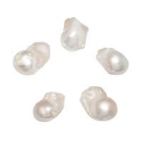 No Hole Cultured Freshwater Pearl Beads, natural, white, 13-15mm 