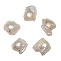 No Hole Cultured Freshwater Pearl Beads, natural, white, 15-20mm 