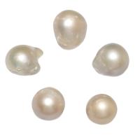 No Hole Cultured Freshwater Pearl Beads, natural, white, 11-13mm 