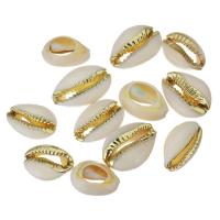 Shell Jewelry Findings, with Brass, natural, fashion jewelry & DIY, 13-17x18-24x7-8mm 