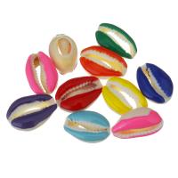 composant varié de coquillage, coquille, coquille, naturel, bijoux de mode & DIY, couleurs mélangées, 12-14x18-20x6-8mm, Vendu par PC