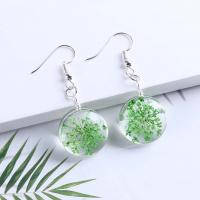 Glass Zinc Alloy Earring, with Dried Flower & Glass, plated, random style & for woman, mixed colors, 48mm 