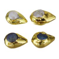 Brass Beads, with Shell & Freshwater Pearl, gold color plated 26-32x18-21x16-22mm Approx 1.5mm 