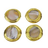perla de cobre, metal, con Nácar Blanca, chapado en color dorado, 18-19x18-19x4-5.5mm, agujero:aproximado 1mm, Vendido por UD