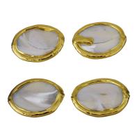 Brass Jewelry Beads, with White Shell, gold color plated, 30-31x23-24x4-5.5mm Approx 1mm 