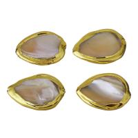 Brass Jewelry Beads, with White Shell, gold color plated, 23-25x17-19x4-5mm Approx 1mm 