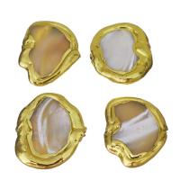Brass Jewelry Beads, with White Shell, gold color plated, 17-19x21-23x3-5mm Approx 1mm 