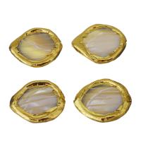 Brass Jewelry Beads, with White Shell, gold color plated, 24-25x21-22x4-5mm Approx 1mm 