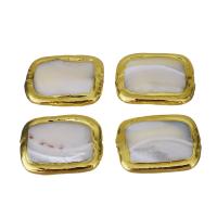 Brass Jewelry Beads, with White Shell, gold color plated, 25-27x20-21x4.5-5.5mm Approx 1mm 
