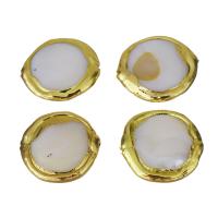 Brass Jewelry Beads, with White Shell, gold color plated, 22-25x22-23x4-6mm Approx 1mm 
