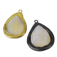 Brass Shell Pendants, with White Shell, Teardrop, plated 22-26x33-36x5-6mm Approx 2mm 
