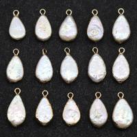 Freshwater Pearl Pendants, with Iron, Teardrop, gilding, white, 14-17mm Approx 1mm 