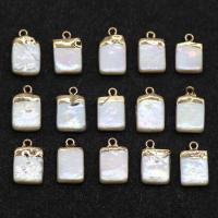 Freshwater Pearl Pendants, with Iron, gilding, white, 12-14mm Approx 1mm 