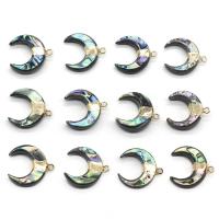 Abalone Shell Pendants, with Iron, Moon, gilding Approx 1mm 