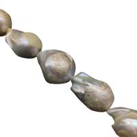 Barock kultivierten Süßwassersee Perlen, Natürliche kultivierte Süßwasserperlen, DIY, 16-30mm, ca. 16PCs/Strang, verkauft von Strang