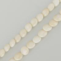 Natürliche Korallen Perlen, Koralle, flache Runde, weiß, 3x7mm, Bohrung:ca. 1mm, Länge:ca. 16 ZollInch, ca. 51PCs/Strang, verkauft von Strang