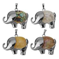 Brass Shell Pendants, with Yellow Shell & White Shell & Abalone Shell, Elephant, silver color plated, fashion jewelry nickel, lead & cadmium free Approx 