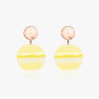Zinc Alloy Drop Earring, with Acetate, stainless steel post pin, fashion jewelry & for woman, 65*40mm 