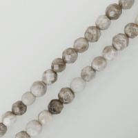Silver Leaf Jasper Bead, fashion jewelry & DIY, 6mm Approx 1mm Approx 15.5 Inch, Approx 