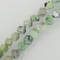 Green Grass Stone Beads, Square, DIY, 8mm Approx 1.5mm Approx 15.5 Inch, Approx 