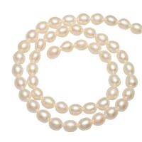 Potato Cultured Freshwater Pearl Beads, natural 5-6mm Approx 0.8mm Approx 14.1 Inch 