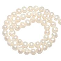 Potato Cultured Freshwater Pearl Beads, natural 7-8mm Approx 0.8mm Approx 14.1 Inch 