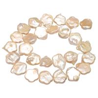 Petites perles cultivées en eau douce, perle d'eau douce cultivée, baroque, naturel, blanc, 13*13*5mm-18*18*6mm Environ 0.8mm Environ 14.1 pouce, Vendu par brin