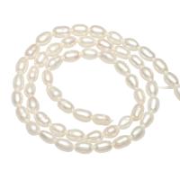 Rice Cultured Freshwater Pearl Beads, natural, white, 4mm Approx 0.8mm Approx 14.1 Inch 