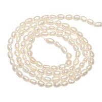 Rice Cultured Freshwater Pearl Beads, natural 3mm Approx 0.8mm Approx 14.1 Inch 