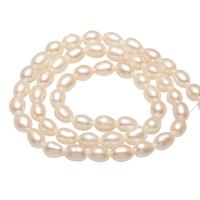 Rice Cultured Freshwater Pearl Beads, natural 4-5mm Approx 0.8mm Approx 14.1 Inch 