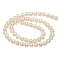 Round Cultured Freshwater Pearl Beads, natural 4-5mm Approx 0.8mm Approx 14.1 Inch 