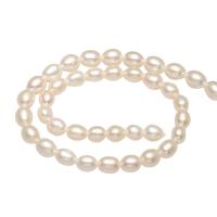 Potato Cultured Freshwater Pearl Beads, natural 4-5mm Approx 0.8mm Approx 14.1 Inch 
