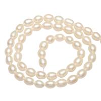 Perlas Arroz Freshwater, Perlas cultivadas de agua dulce, natural, más colores para la opción, 5-6mm, agujero:aproximado 0.8mm, longitud:aproximado 14.1 Inch, Vendido por Sarta