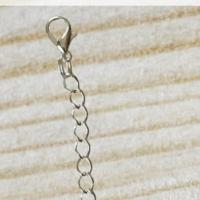 Stainless Steel Extender Chain, plated, twist oval chain Approx 3 Inch 