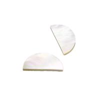 White Shell Cabochon, Dome, polished 