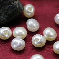 ABS Plastic Pearl Beads, Round & enamel, white 