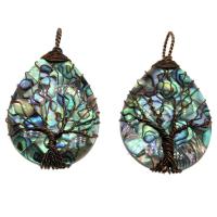 Abalone Shell Pendants, with Brass, antique copper color plated Approx 8mm 